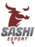 Sashi Esports